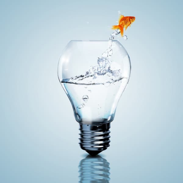 depositphotos 12290968 stock photo gold fish inside an electric